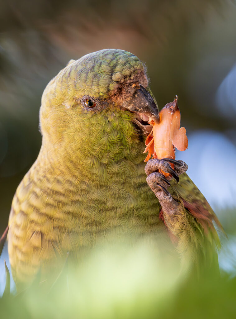 dsc06688 enhanced nr 2 dsc06688 enhanced nr 2