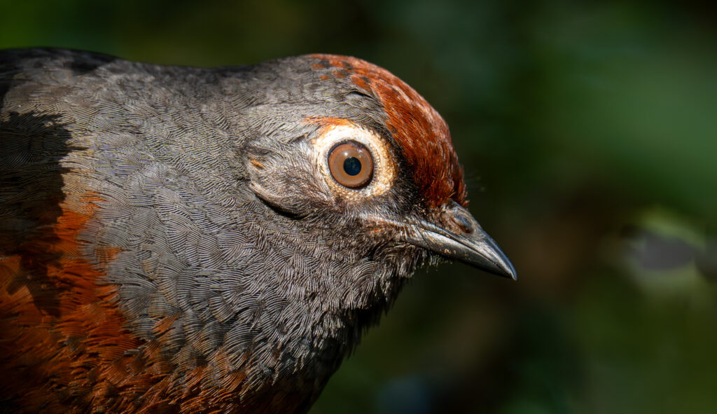 dsc08118 enhanced nr 3 dsc08118 enhanced nr 3