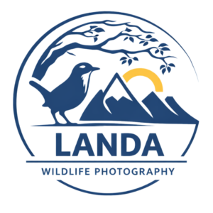 landaphotos (5)