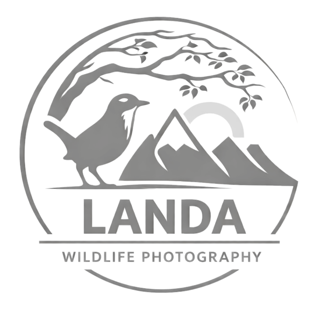 landawildlife.com