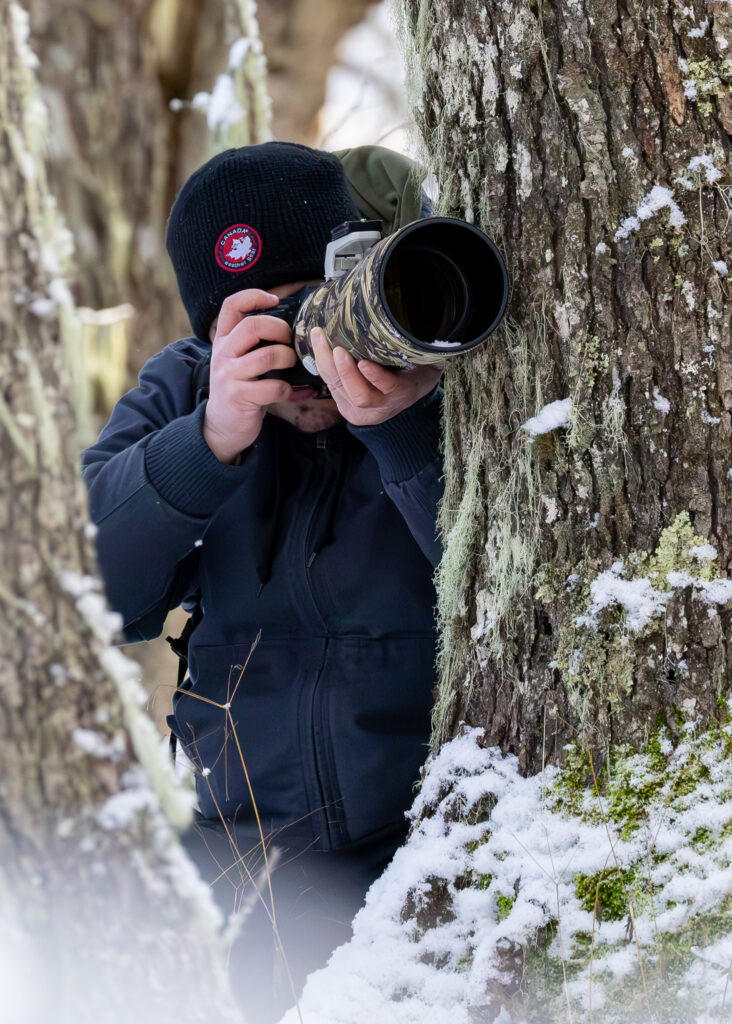 m4a6178 enhanced nr 3 m4a6178 enhanced nr 3