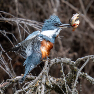 dsc03760 enhanced nr 2