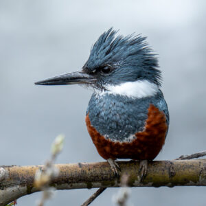 dsc03989 enhanced nr