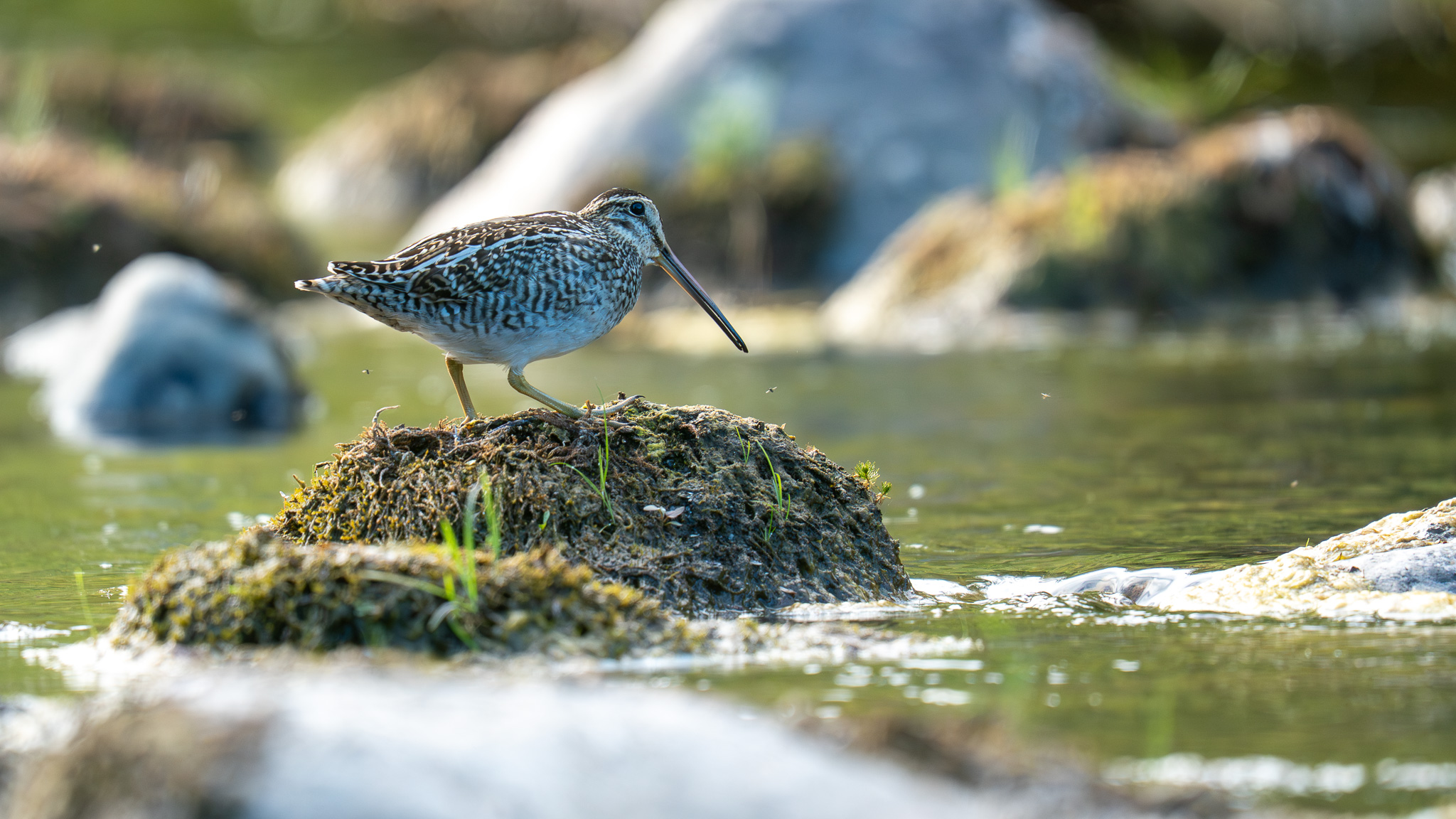 dsc09683 enhanced nr