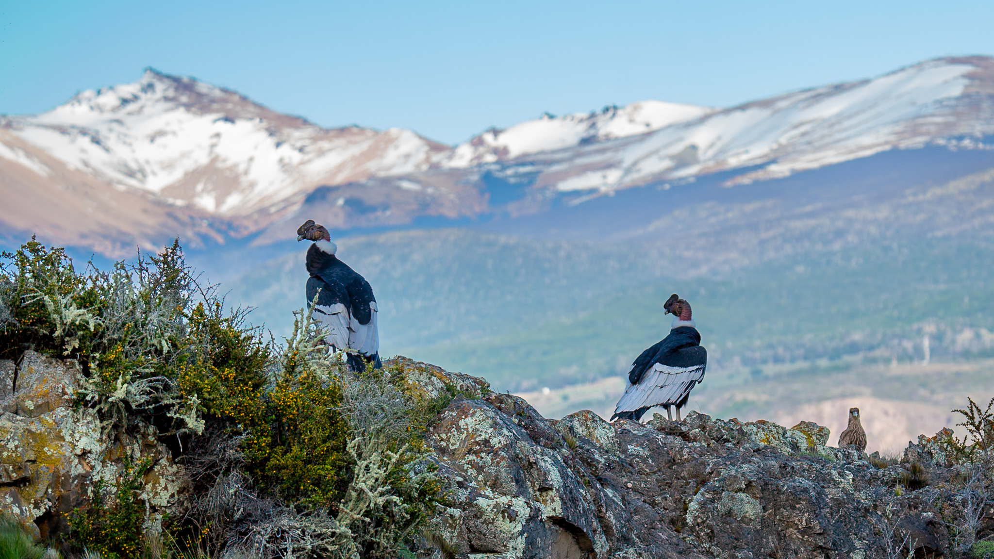 dsc07590 enhanced nr 4